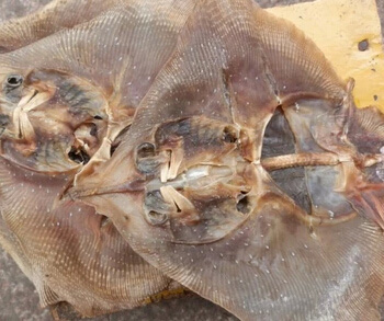 广丰皮鱼炒辣椒