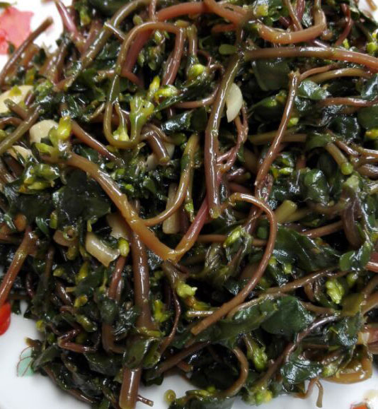 广丰青炒马齿苋