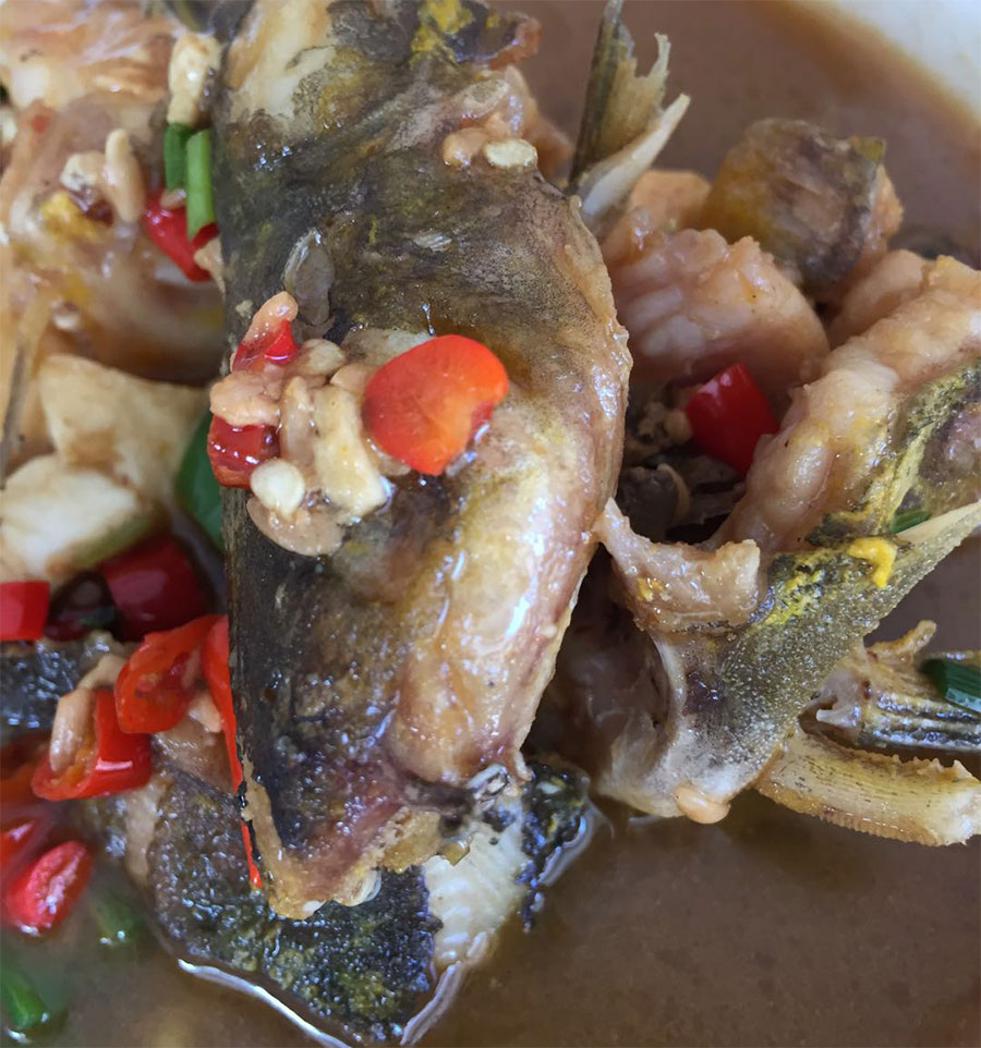 黄硬骨煮水豆腐