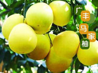 广丰马家柚，江西上饶广丰特产