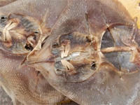 广丰皮鱼炒辣椒，江西上饶广丰美食