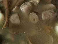 广丰淡菜炖小肠，江西上饶广丰美食