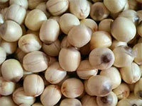 广丰莲子，江西上饶广丰特产